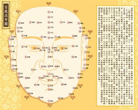 百歲流年圖 面相|峰生水起面相學：第05課 百歲流年圖